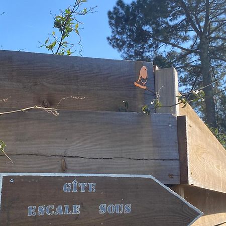 Escale Sous Les Pins Villa Сал Екстериор снимка