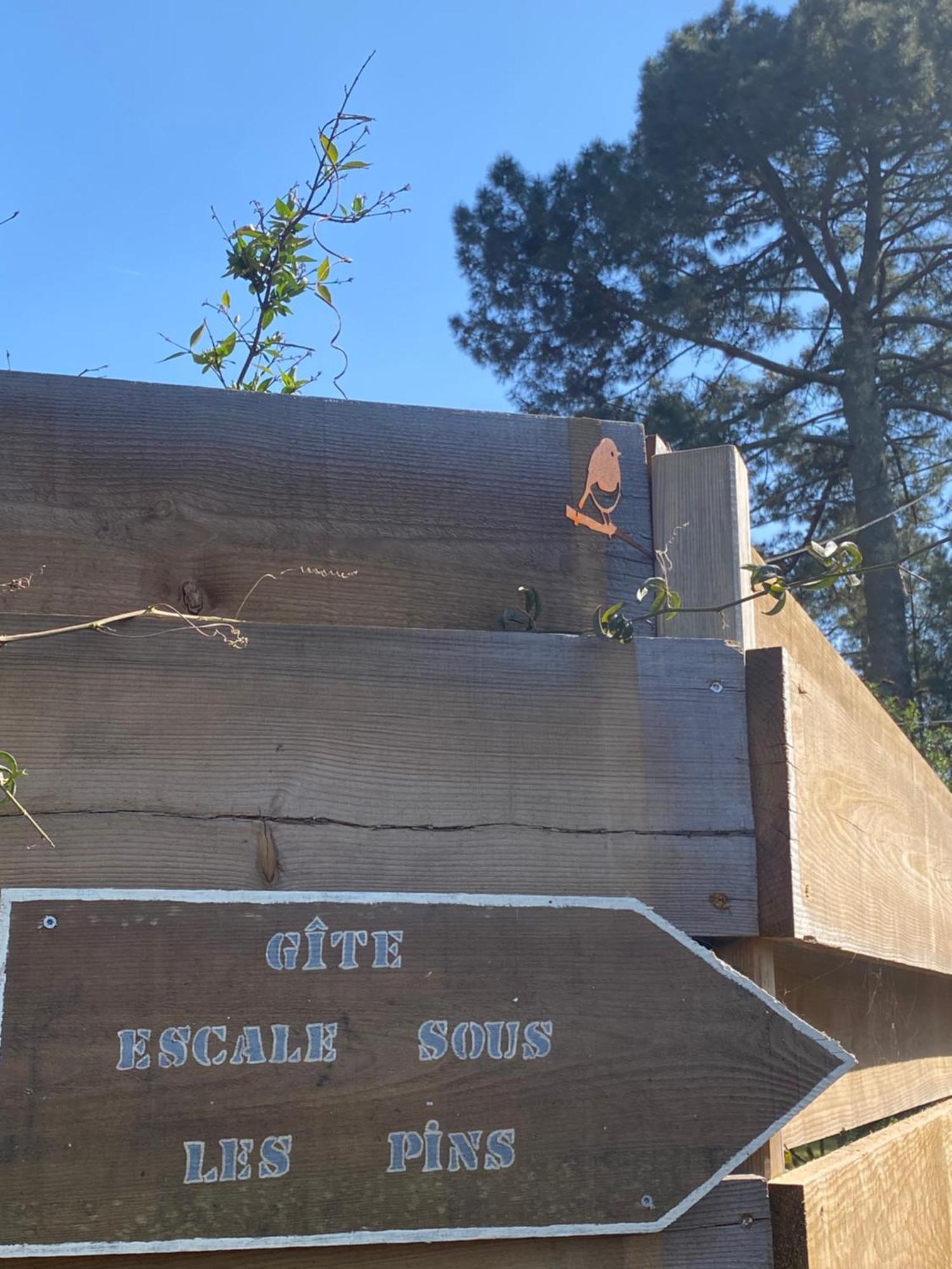 Escale Sous Les Pins Villa Сал Екстериор снимка